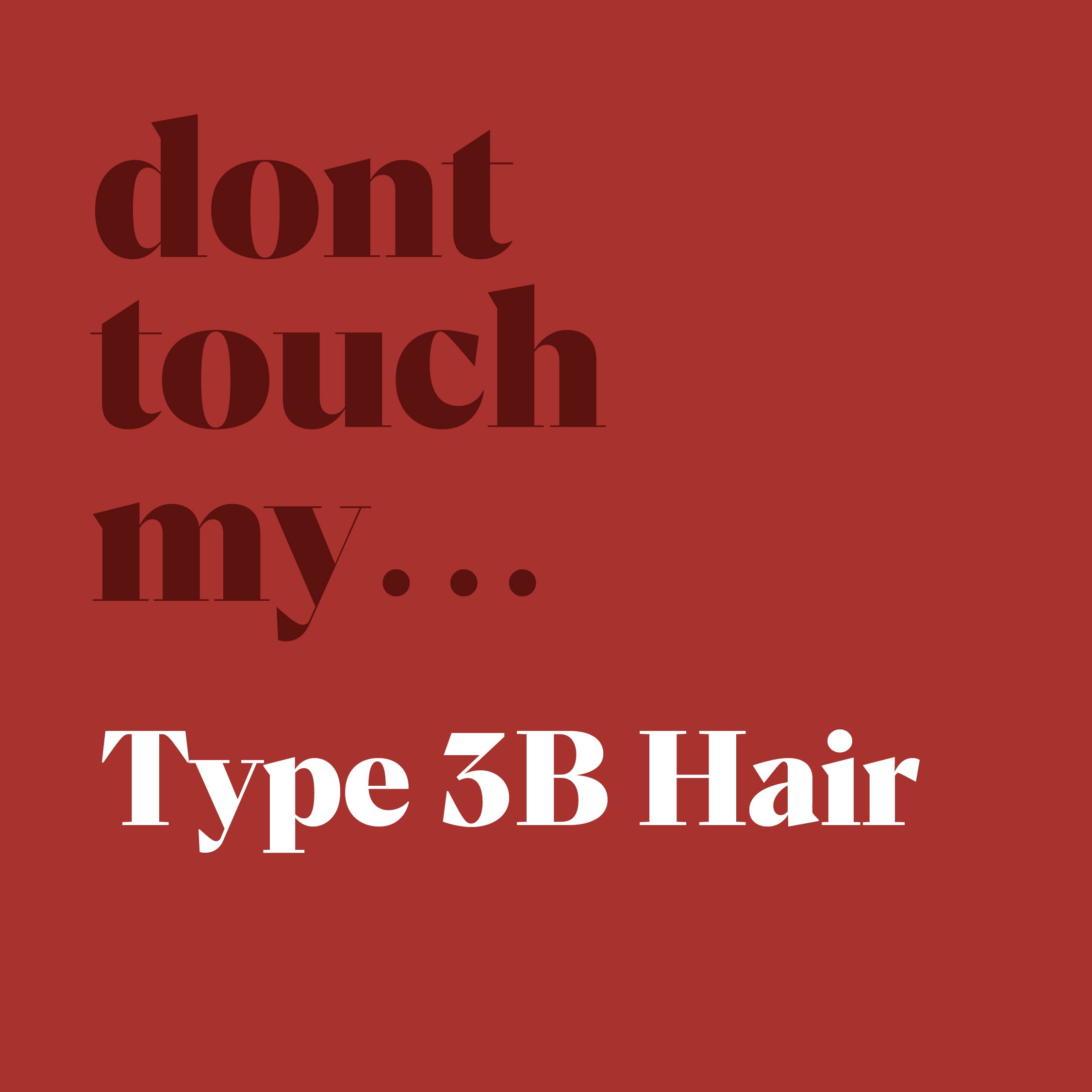 Type 3B hair kit bundle
